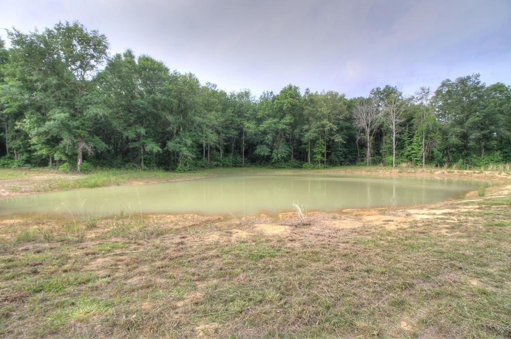 618 Cr 2619, Alto, TX 75925