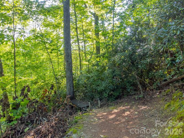283 Briggs Cove Road, Robbinsville, NC 28771