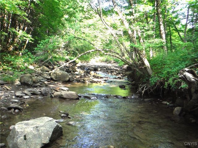 5500 Crofoot Hill Road, West Turin, NY 13325