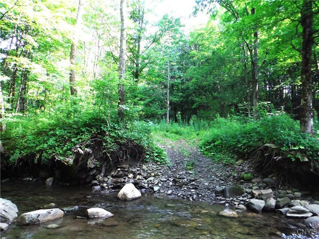 5500 Crofoot Hill Road, West Turin, NY 13325