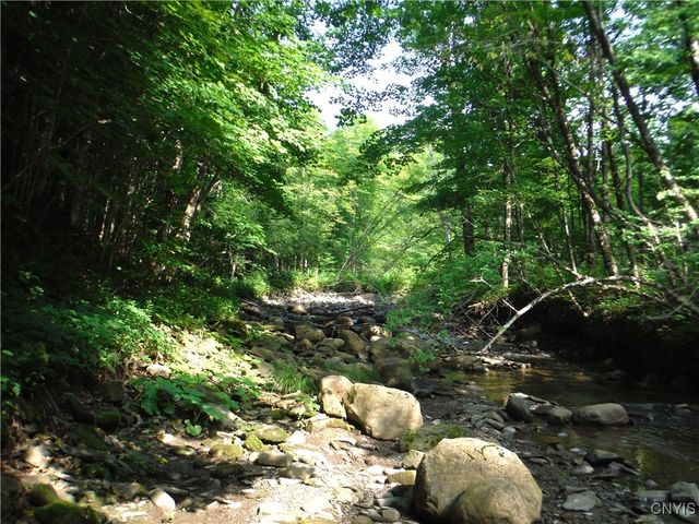 5500 Crofoot Hill Road, West Turin, NY 13325