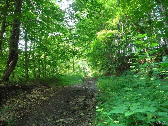 5500 Crofoot Hill Road, West Turin, NY 13325