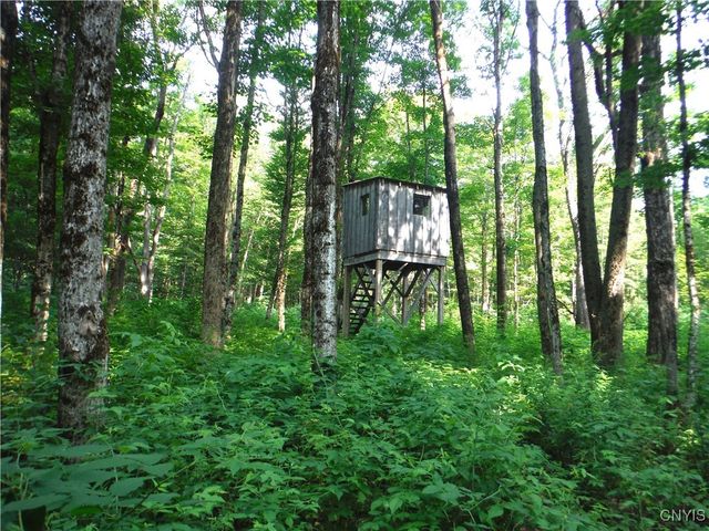 5500 Crofoot Hill Road, West Turin, NY 13325