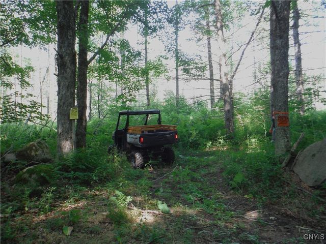 5500 Crofoot Hill Road, West Turin, NY 13325