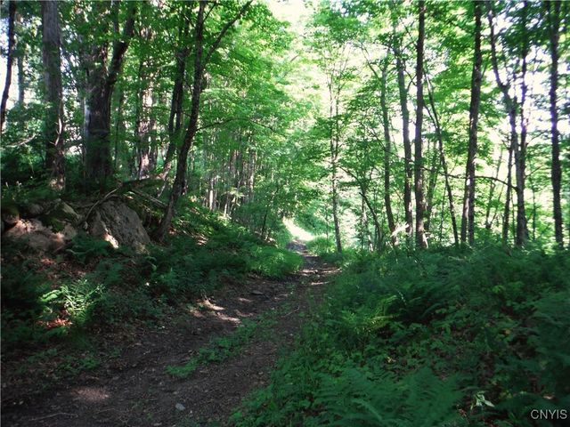 5500 Crofoot Hill Road, West Turin, NY 13325