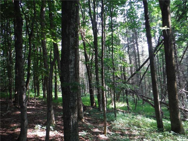 5500 Crofoot Hill Road, West Turin, NY 13325