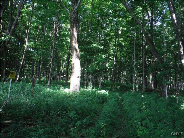 5500 Crofoot Hill Road, West Turin, NY 13325