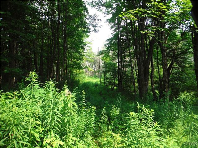 5500 Crofoot Hill Road, West Turin, NY 13325