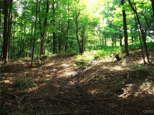 5500 Crofoot Hill Road, West Turin, NY 13325