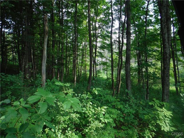 5500 Crofoot Hill Road, West Turin, NY 13325