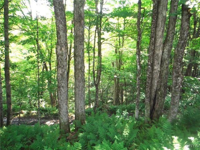 5500 Crofoot Hill Road, West Turin, NY 13325