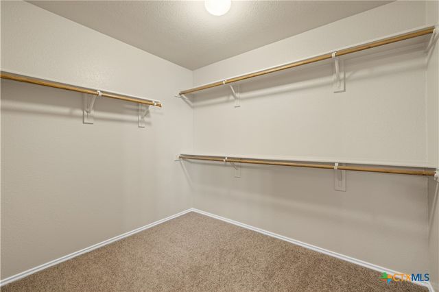 317 Bashaw Loop, Temple, TX 76502