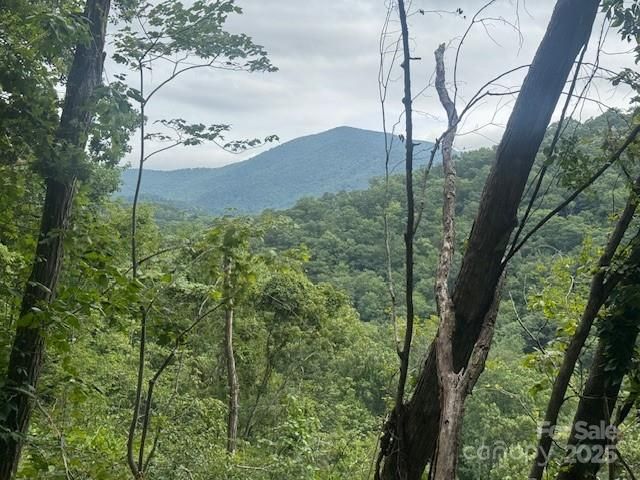 000 N Satellite Mountain Road N, Burnsville, NC 28714