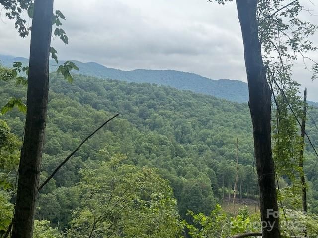 000 N Satellite Mountain Road N, Burnsville, NC 28714