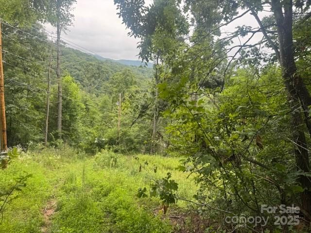 000 N Satellite Mountain Road N, Burnsville, NC 28714