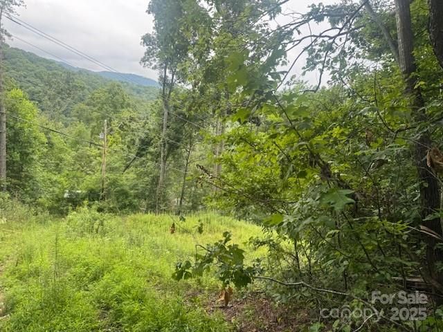 000 N Satellite Mountain Road N, Burnsville, NC 28714