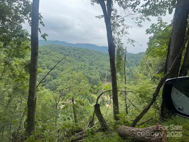 000 N Satellite Mountain Road N, Burnsville, NC 28714
