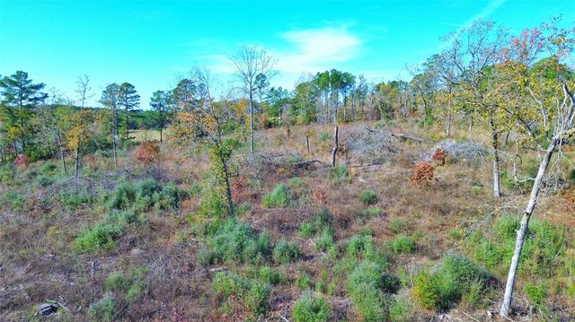 0 Fm 2022, Grapeland, TX 75844