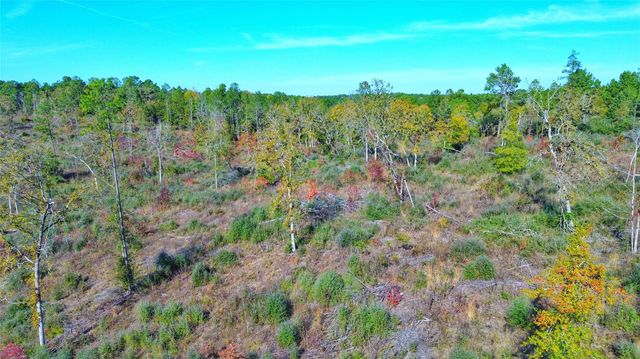 0 Fm 2022, Grapeland, TX 75844