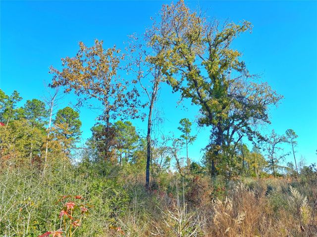 0 Fm 2022, Grapeland, TX 75844