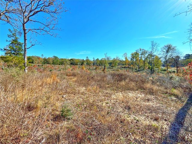 0 Fm 2022, Grapeland, TX 75844