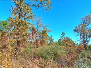 0 Fm 2022, Grapeland, TX 75844