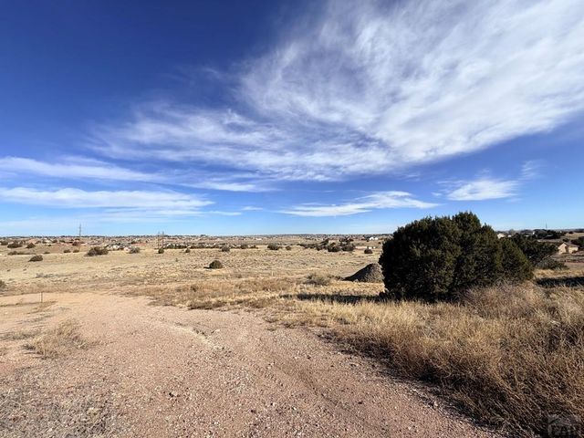 712 S Carrizo Springs Ave, Pueblo West, CO 81007