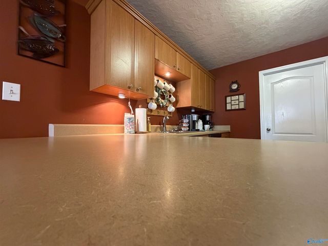 4221 Blake Drive, Southside, AL 35907