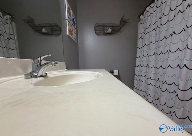 4221 Blake Drive, Southside, AL 35907