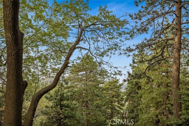 30668 Ferndale, Running Springs, CA 92382