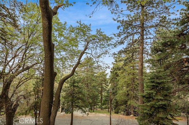 30668 Ferndale, Running Springs, CA 92382