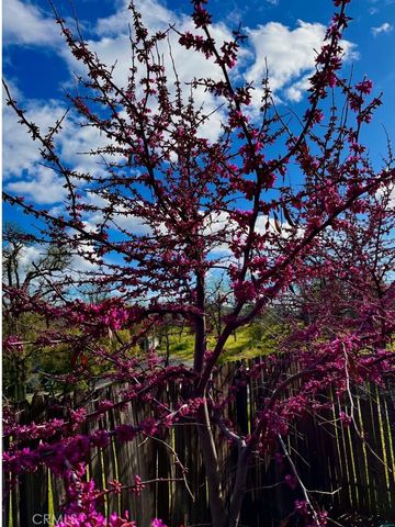 43656 Crystal Cave Circle, Coarsegold, CA 93614