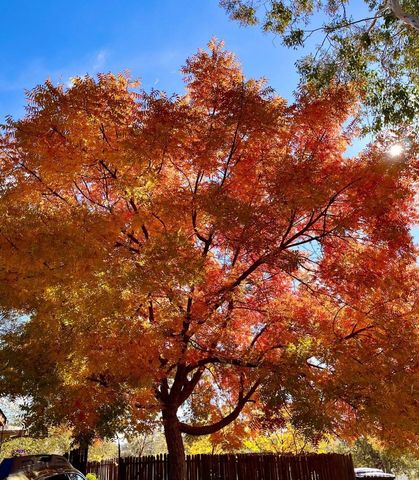 43656 Crystal Cave Circle, Coarsegold, CA 93614