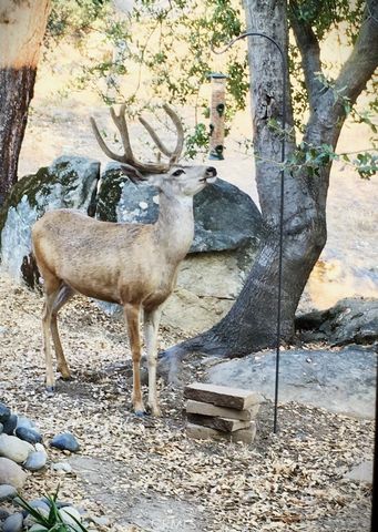 43656 Crystal Cave Circle, Coarsegold, CA 93614