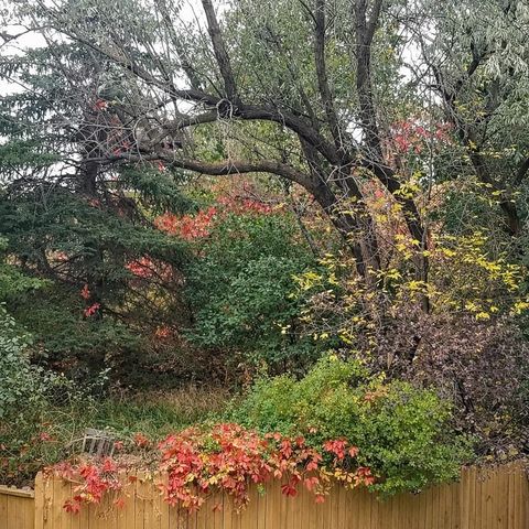 1317 12th St SW, Minot, ND 58701