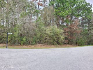 0 Pinecrest Drive, Carriere, MS 39426