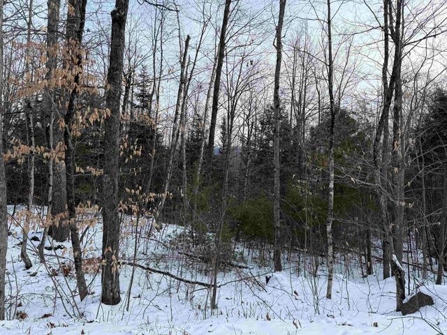 204-117 Bear Road, Haverhill, NH 03765