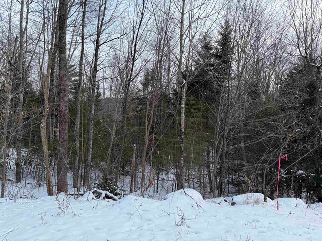 204-117 Bear Road, Haverhill, NH 03765