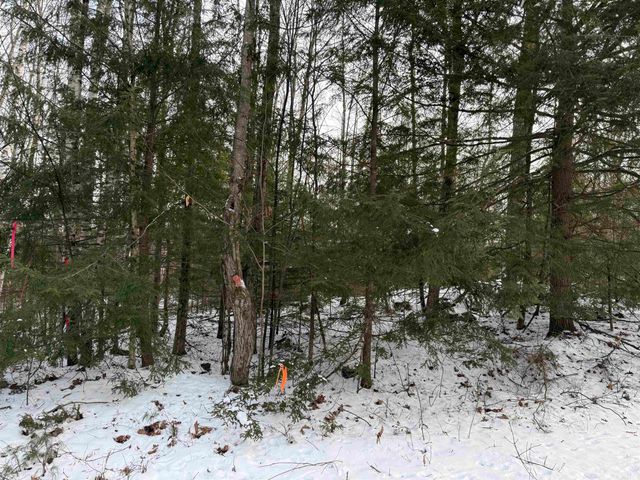 204-117 Bear Road, Haverhill, NH 03765