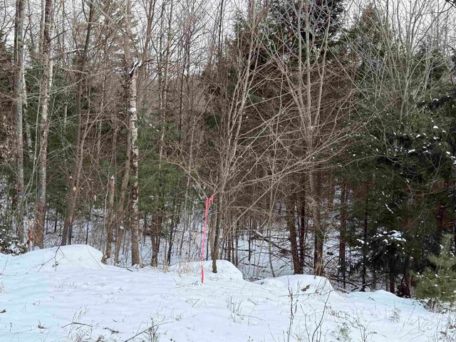 204-117 Bear Road, Haverhill, NH 03765