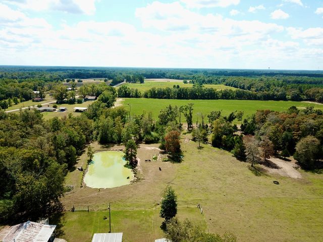 6.97 Acres Nobles Rd Lot 6, Cottonwood, AL 36320