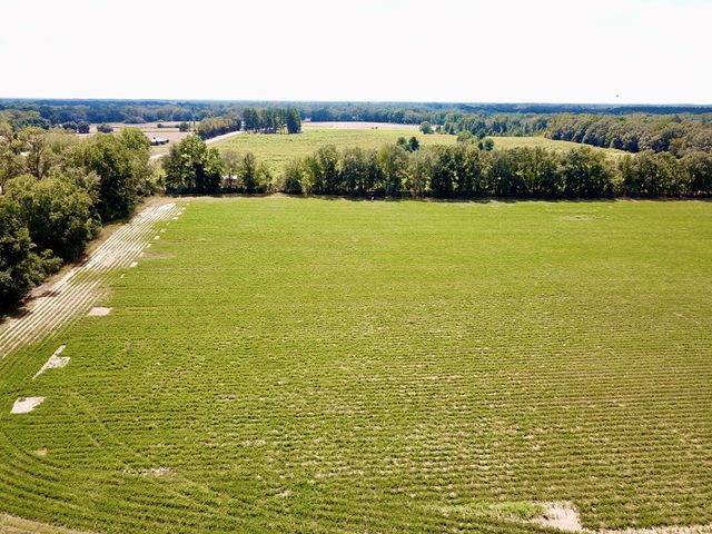 6.97 Acres Nobles Rd Lot 6, Cottonwood, AL 36320