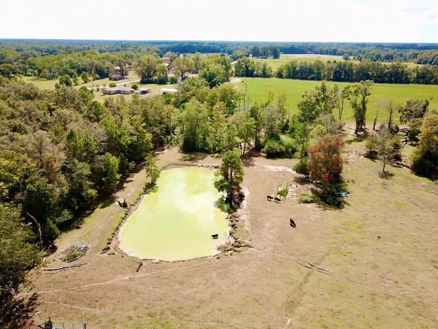 6.97 Acres Nobles Rd Lot 6, Cottonwood, AL 36320