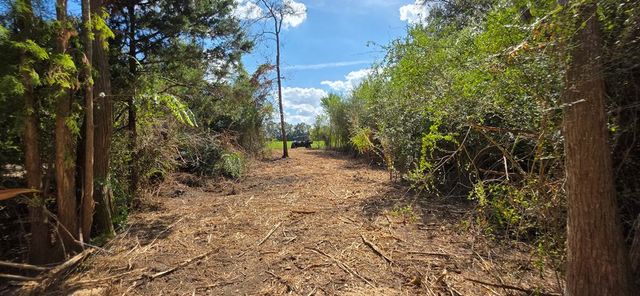 6.97 Acres Nobles Rd Lot 6, Cottonwood, AL 36320