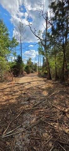 6.97 Acres Nobles Rd Lot 6, Cottonwood, AL 36320