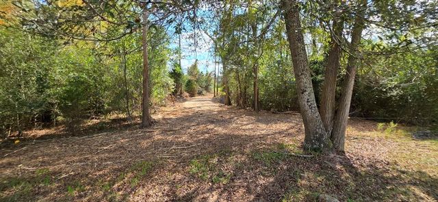 6.97 Acres Nobles Rd Lot 6, Cottonwood, AL 36320