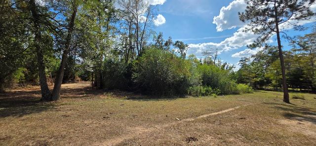 6.97 Acres Nobles Rd Lot 6, Cottonwood, AL 36320