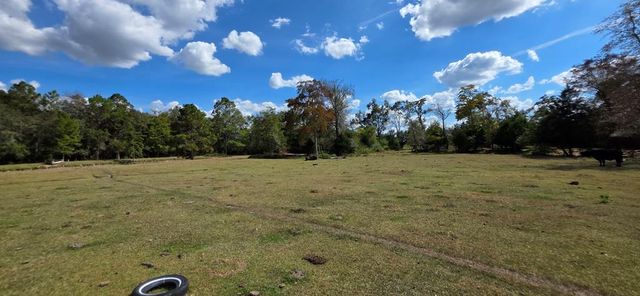 6.97 Acres Nobles Rd Lot 6, Cottonwood, AL 36320