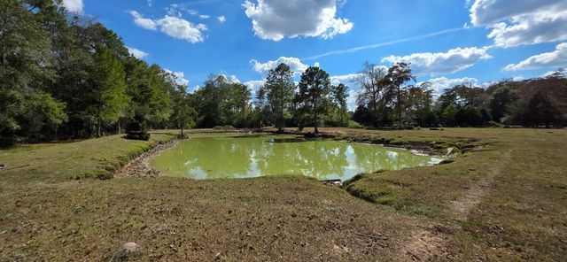 6.97 Acres Nobles Rd Lot 6, Cottonwood, AL 36320