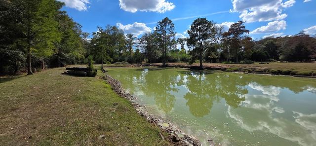 6.97 Acres Nobles Rd Lot 6, Cottonwood, AL 36320